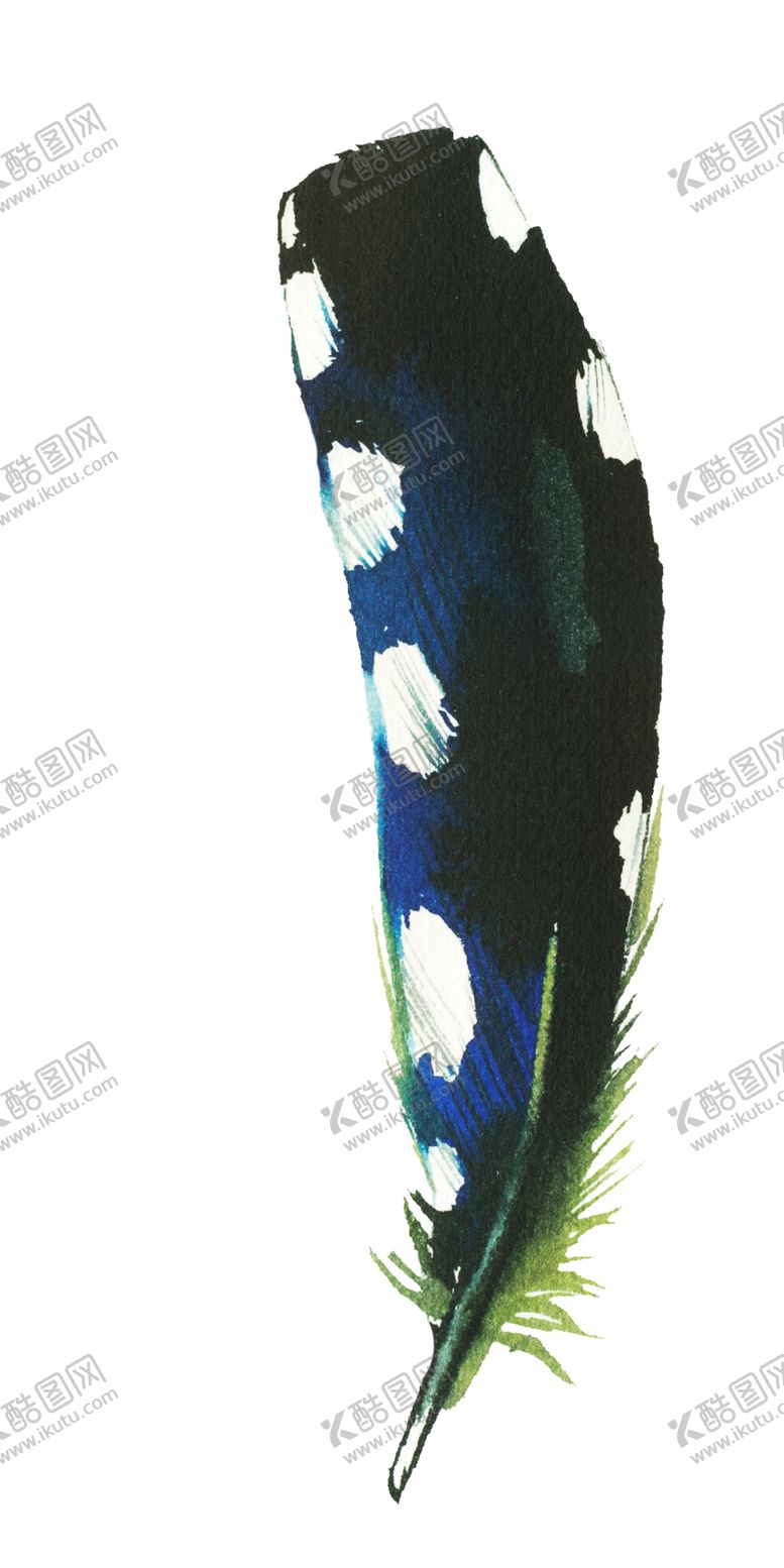编号：14820702100131494737【酷图网】源文件下载-羽毛 