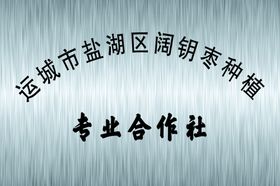 铜牌