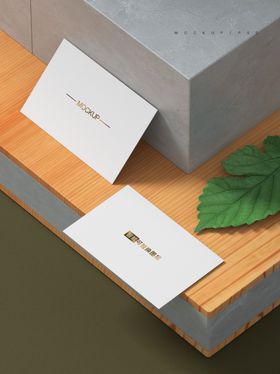 名片样机设计素材包装mockups
