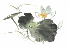 荷花水墨画百争艳红