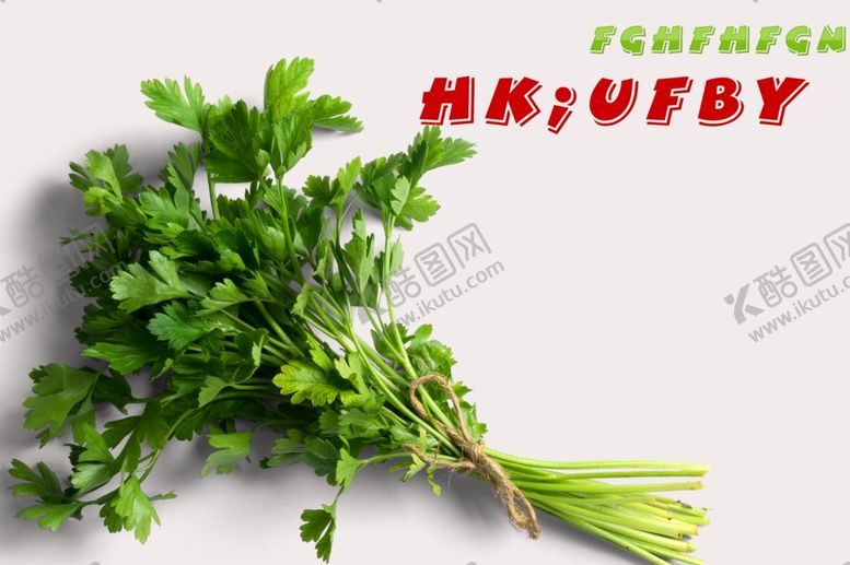 编号：95705210101823451049【酷图网】源文件下载-美食餐饮