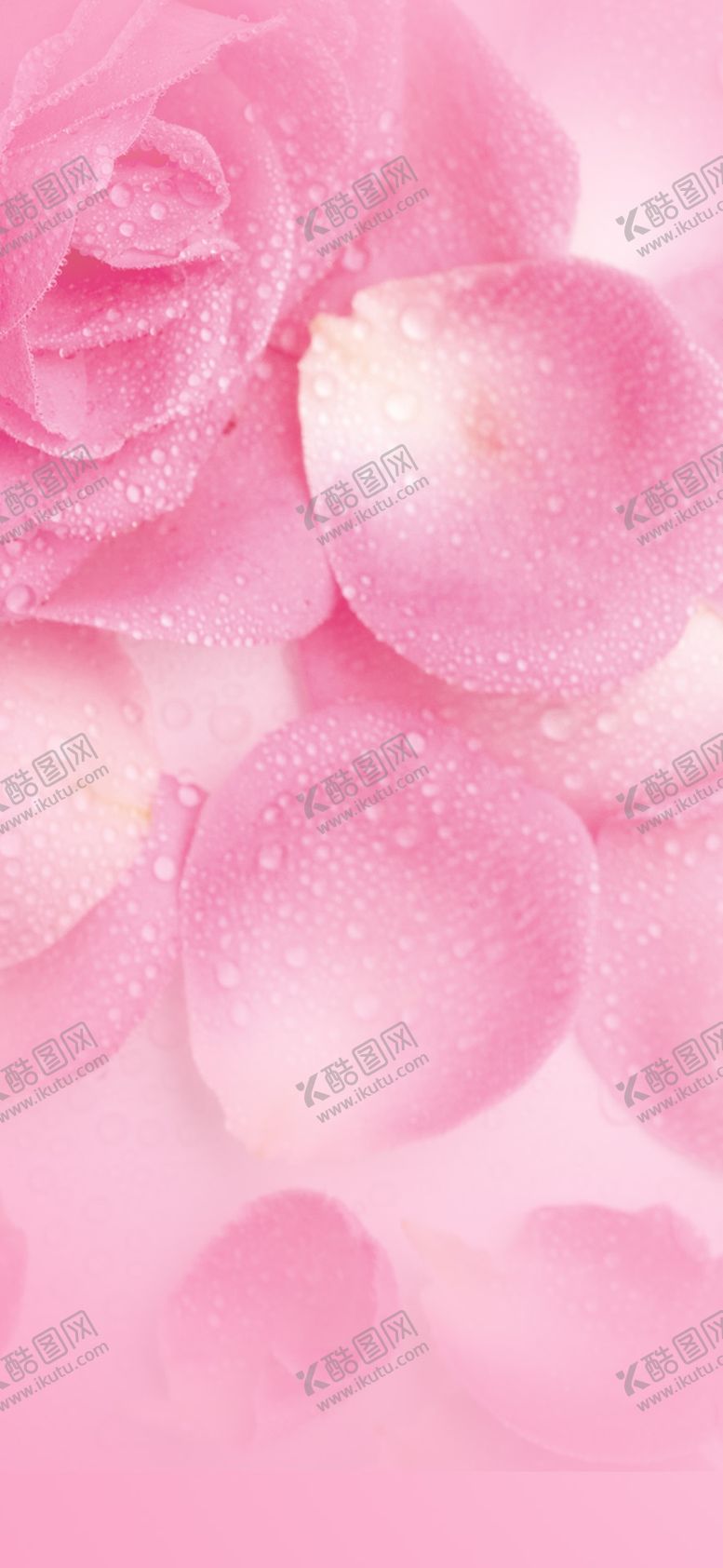 编号：22775910090148063488【酷图网】源文件下载-手机壁纸