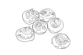 马蹄