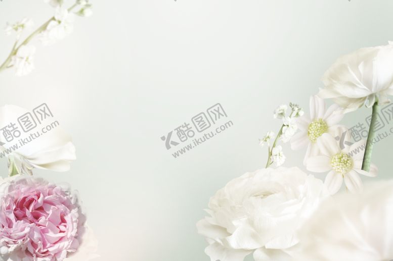 编号：42154009210354431285【酷图网】源文件下载-化妆品广告