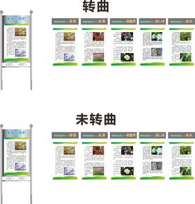 花卉宣传栏