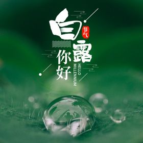 白露海报