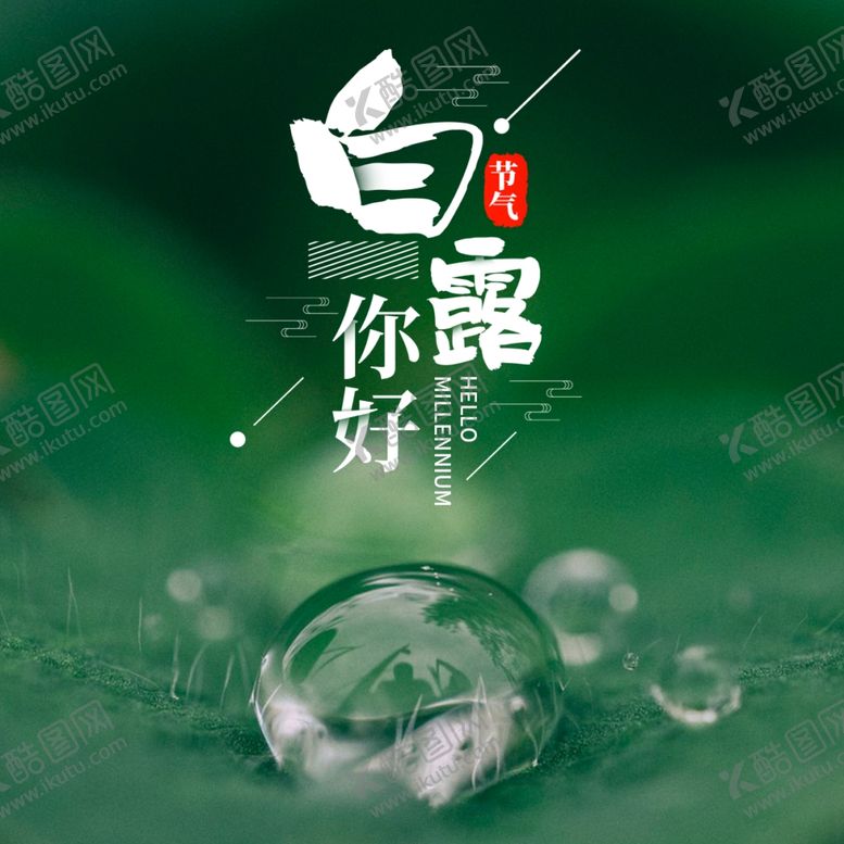 编号：41107109262240024891【酷图网】源文件下载-白露海报