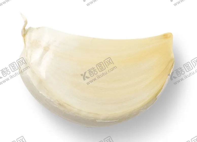 编号：66488504181515265984【酷图网】源文件下载-大蒜