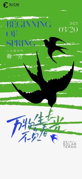 春分节气海报二十四天简约