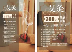 艾灸养生头部SPA宣传海报价目