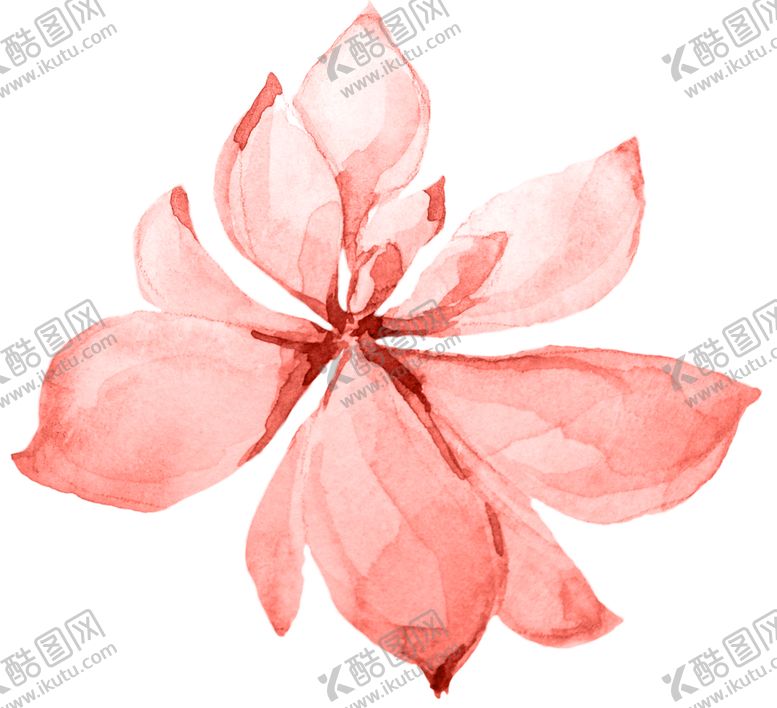 编号：24166609290215315865【酷图网】源文件下载-水彩植物花朵装饰
