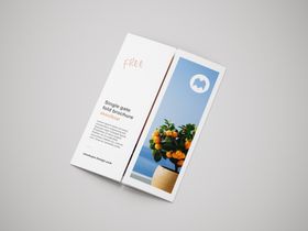 三折页宣传样机