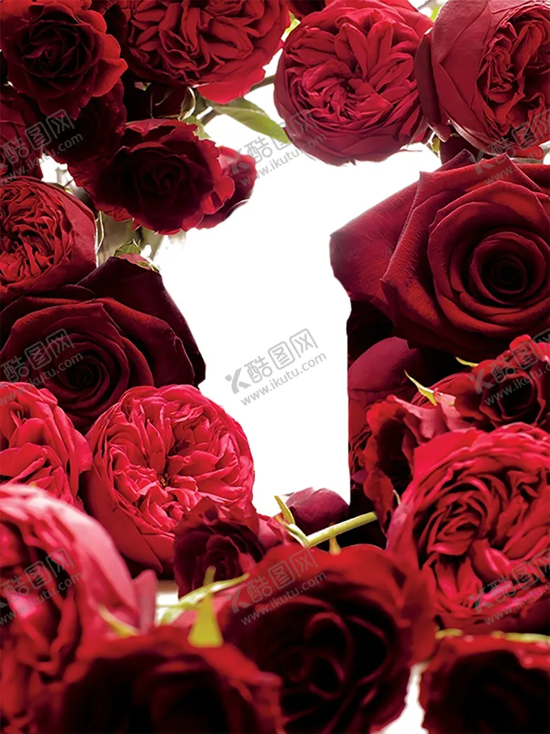 编号：98624909111141408987【酷图网】源文件下载-红色背景