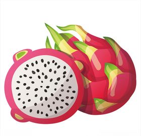 火龙果矢量图
