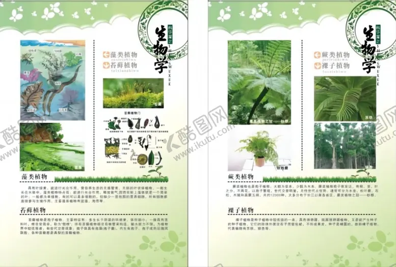 编号：17772610221547354173【酷图网】源文件下载-生物知识展板图片