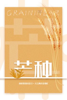 芒种海报麦田画册背景素材设计