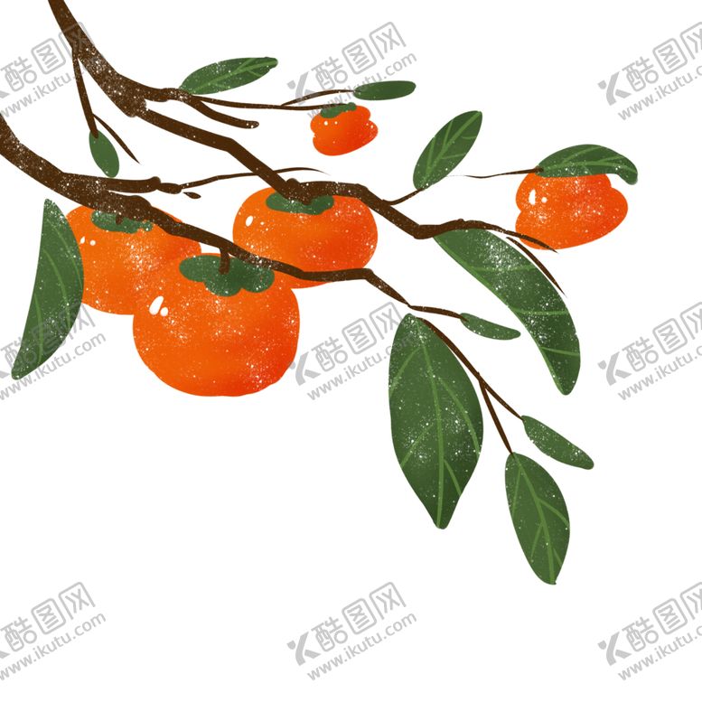 编号：96189710011549551241【酷图网】源文件下载-冬季柿子素材