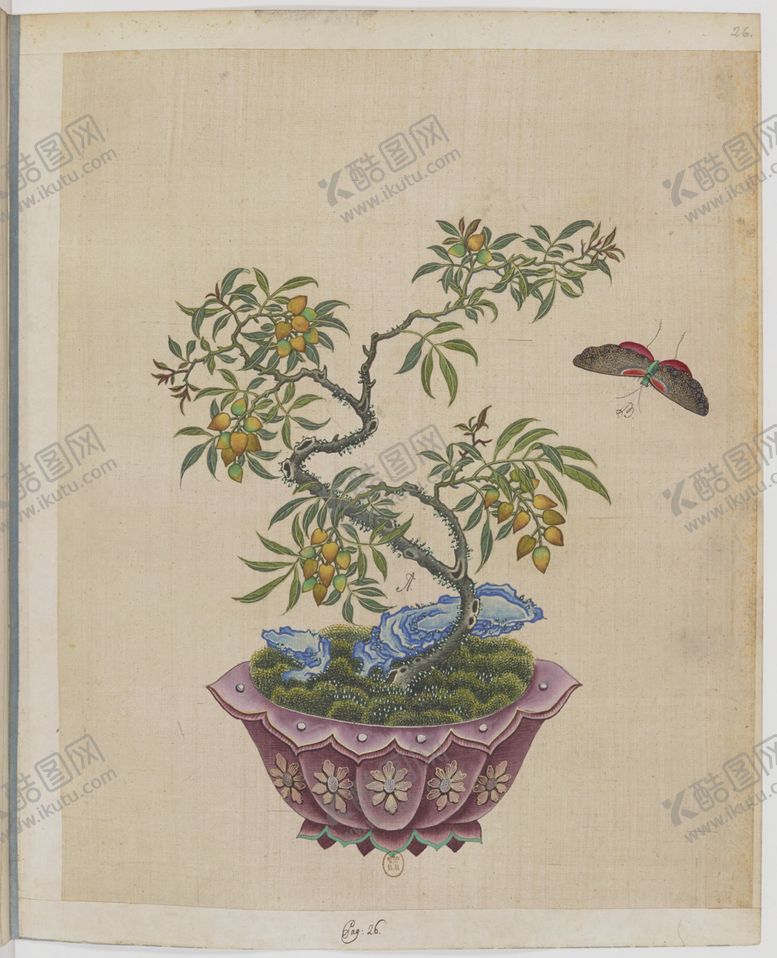 编号：15522204210913464448【酷图网】源文件下载-盆景花鸟