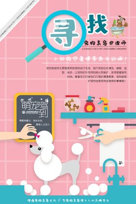 招聘宠物美容师