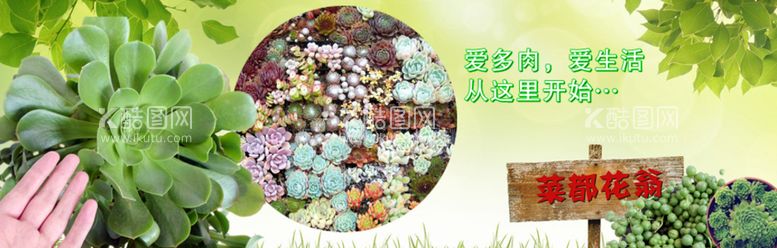 编号：97032511220351278389【酷图网】源文件下载-多肉植物banner