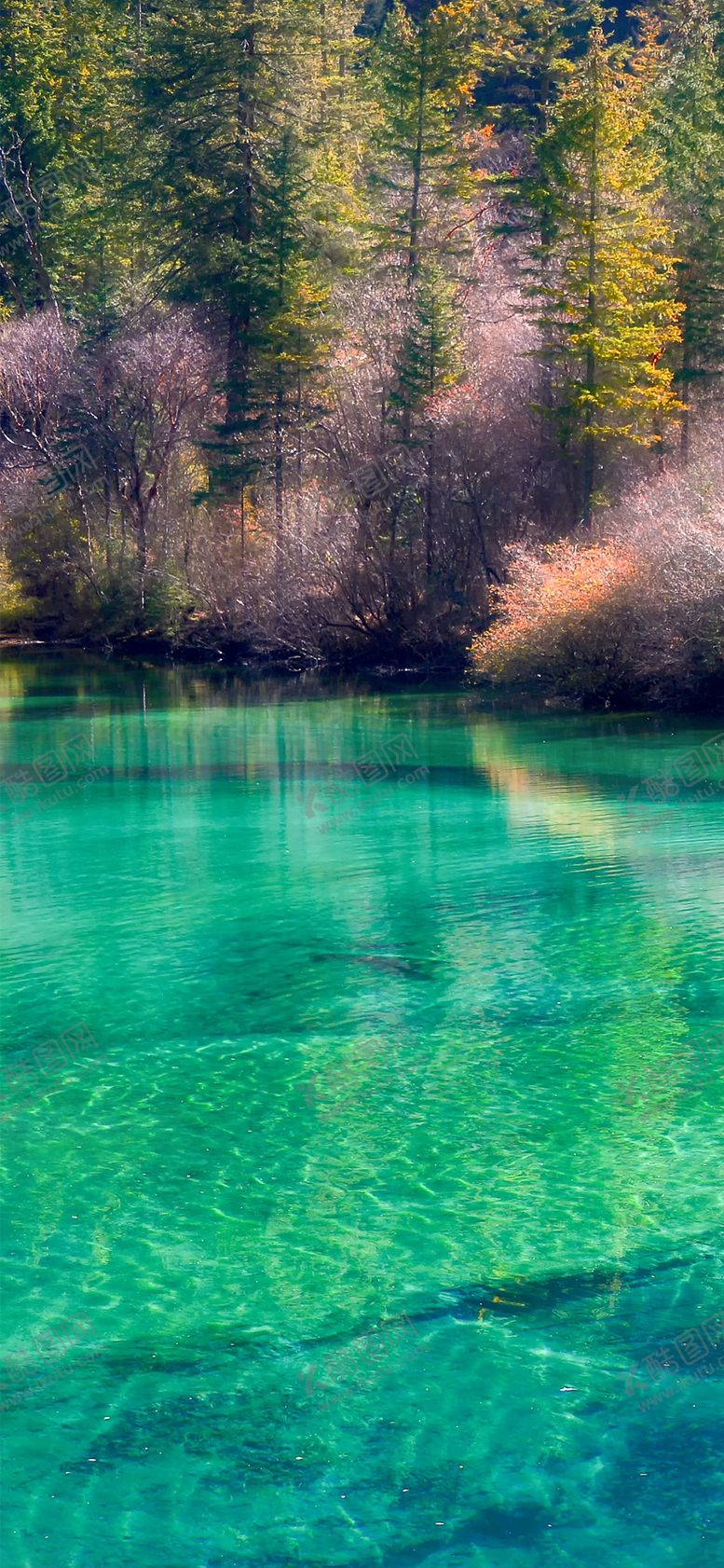 编号：50939409191311246382【酷图网】源文件下载-手机壁纸