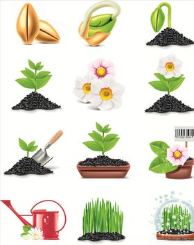 矢量种子蔬菜素材