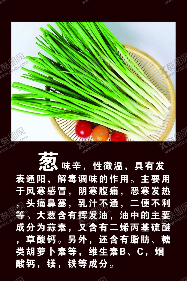 编号：97823712211044387205【酷图网】源文件下载-葱