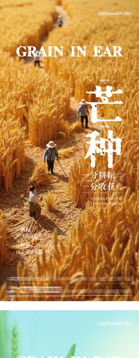 地产小满芒种风景系海报