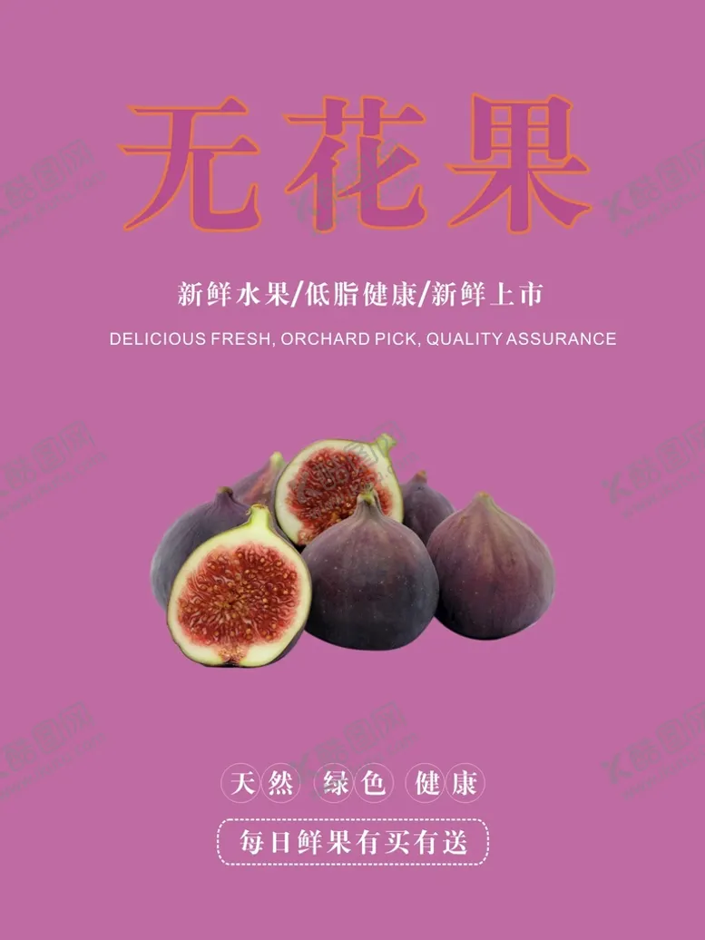 编号：48203110270416429631【酷图网】源文件下载-无花果海报