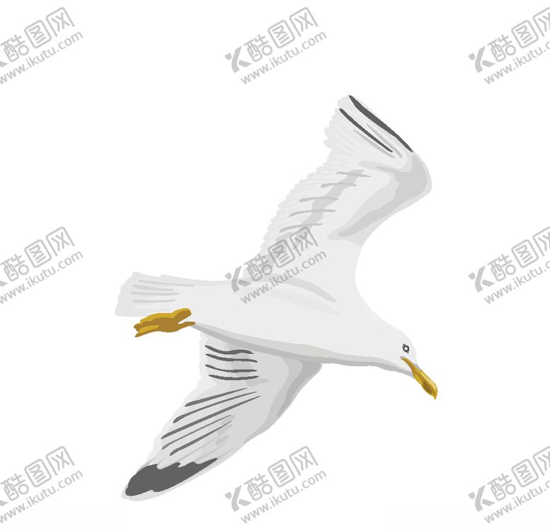 编号：24315310031842276748【酷图网】源文件下载-飞翔的鸟