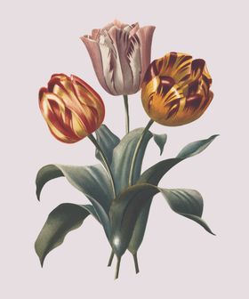 范思哲动画马车马头链子