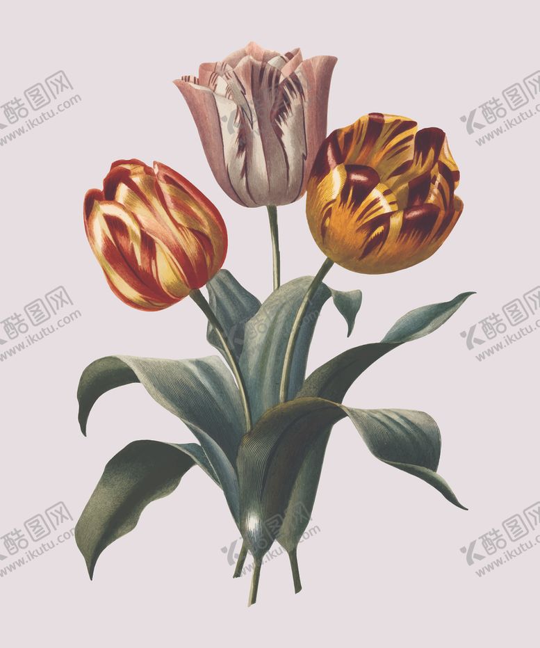 编号：31361006282115152000【酷图网】源文件下载-范思哲动画马车马头链子