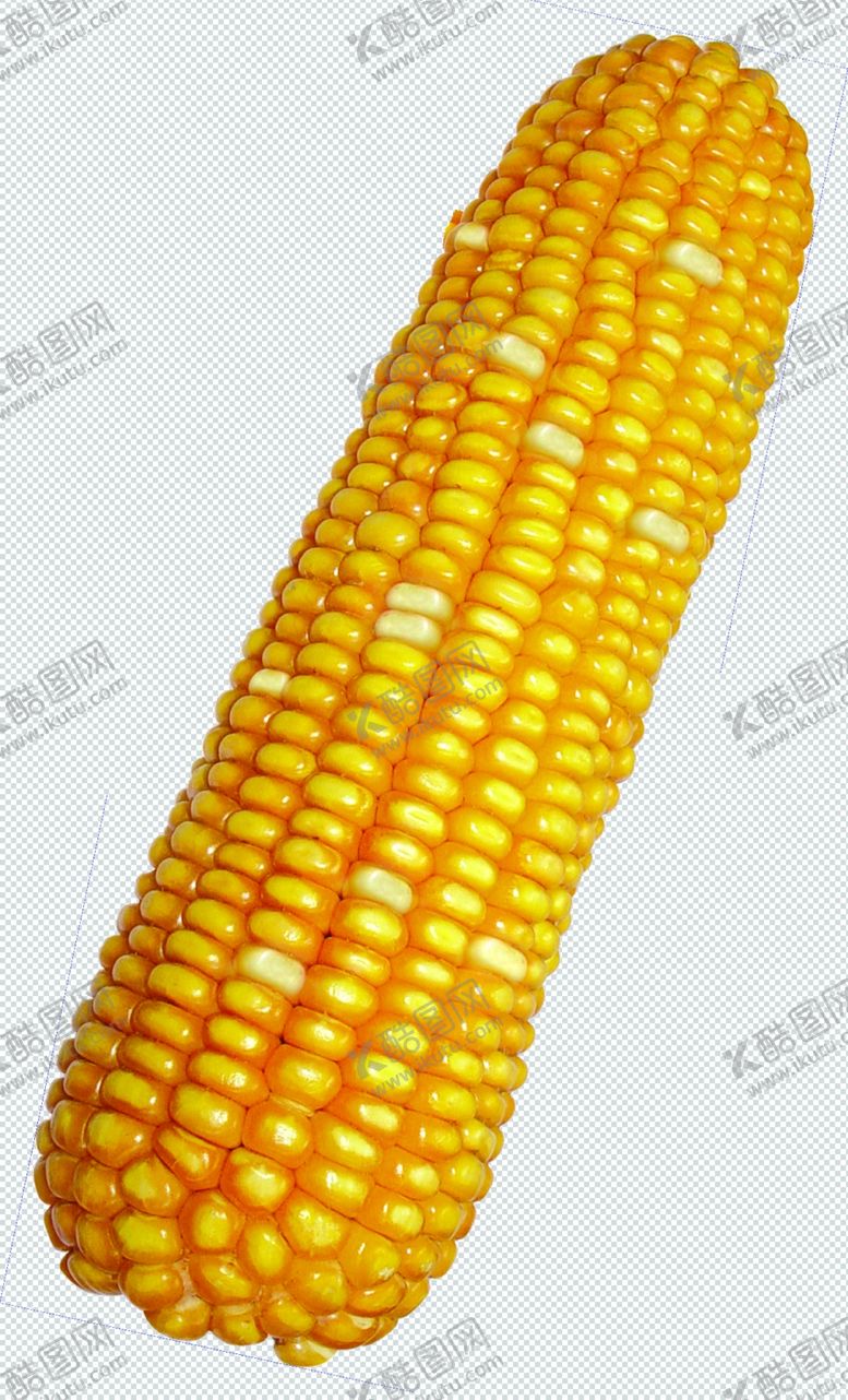 编号：58317307020242478561【酷图网】源文件下载-花白玉米分层素材