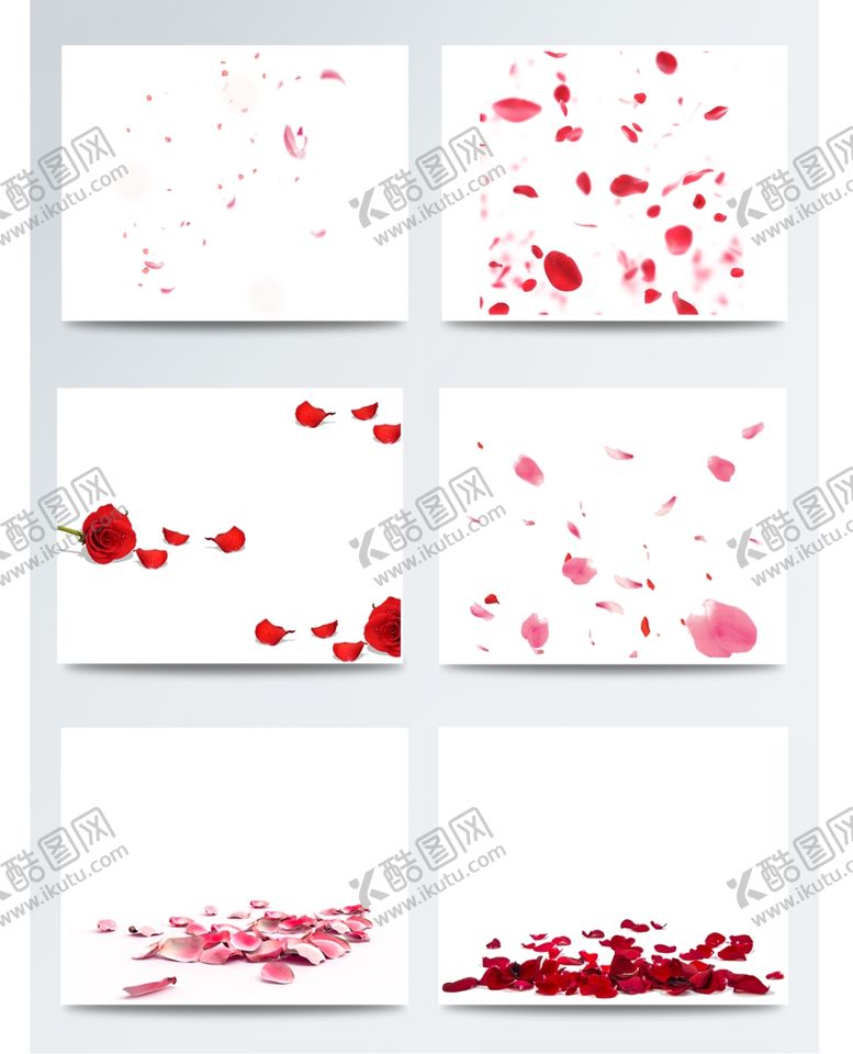 编号：94219410022125109216【酷图网】源文件下载-花瓣玫瑰花瓣花瓣背景