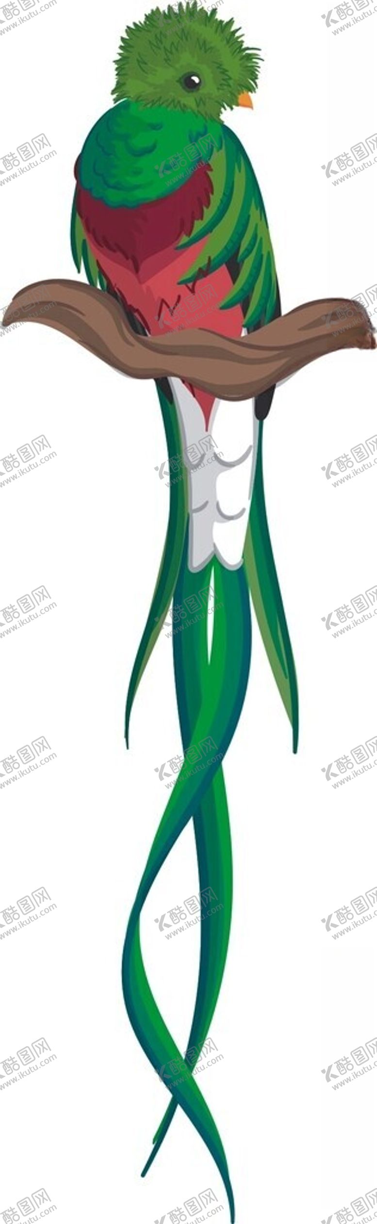 编号：12390702202004323077【酷图网】源文件下载-矢量鸟