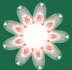 矢量花朵图片设计