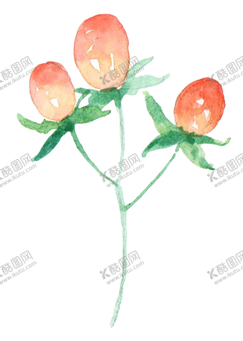 编号：18164709221832062045【酷图网】源文件下载-绿色植物