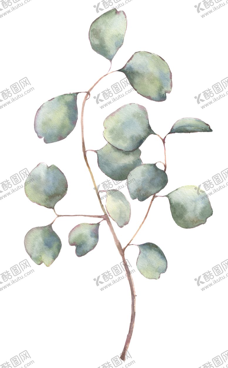 编号：31052407061820291755【酷图网】源文件下载-植物花朵装饰图案