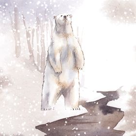 野生动物插图