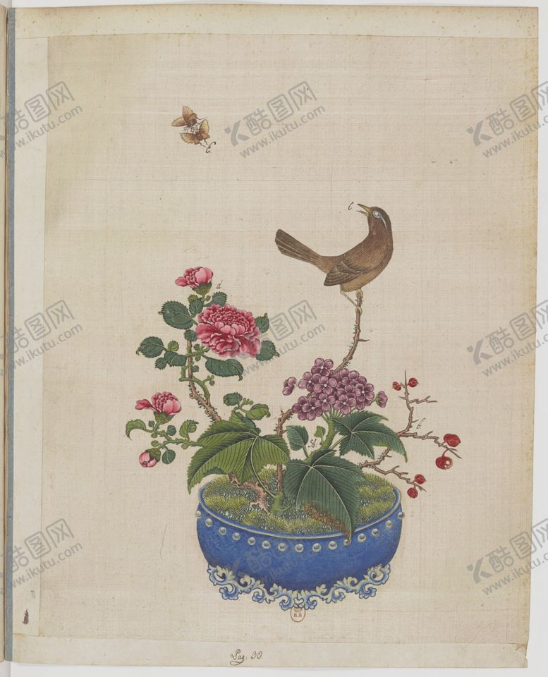 编号：78250604250413001215【酷图网】源文件下载-盆景花鸟