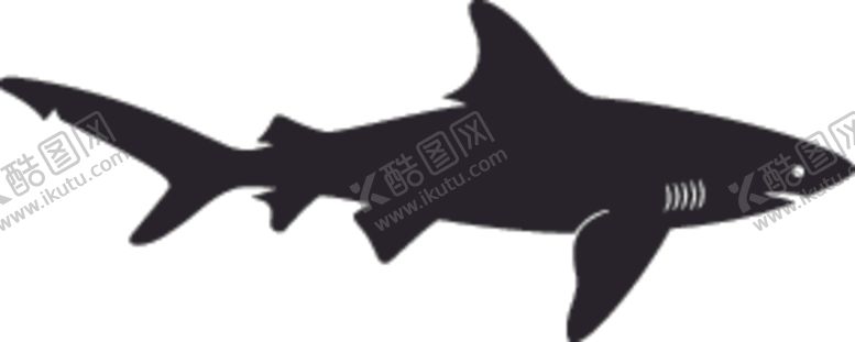 编号：25695807122055551459【酷图网】源文件下载-海洋生物系列鲨鱼