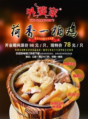 炖母鸡