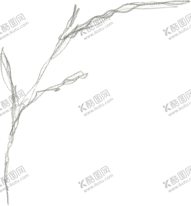 编号：26149409260820514032【酷图网】源文件下载-彩绘枝叶