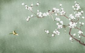 工笔花鸟背景墙装饰画