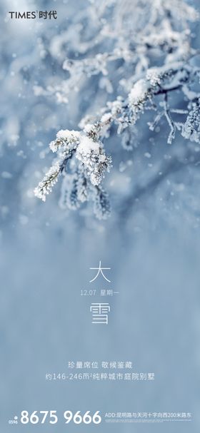 地产大雪节气海报