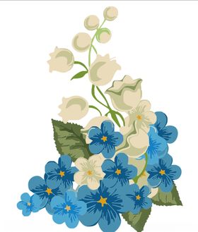 风铃花