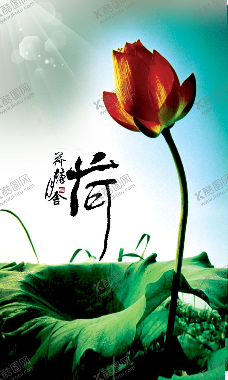 编号：93717005161315397755【酷图网】源文件下载-荷花