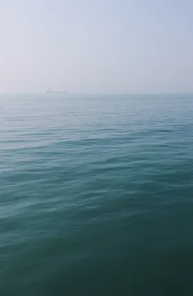 湖江海森林生态系统水山森林公园