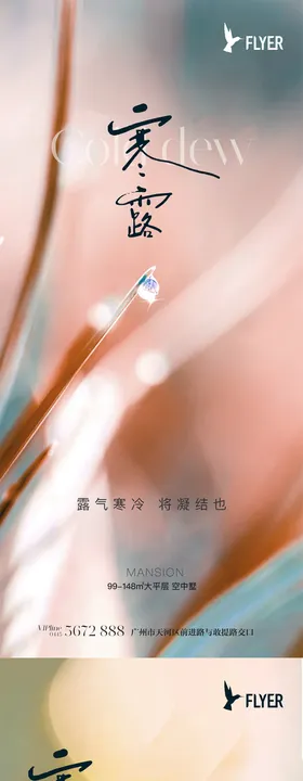寒露海报
