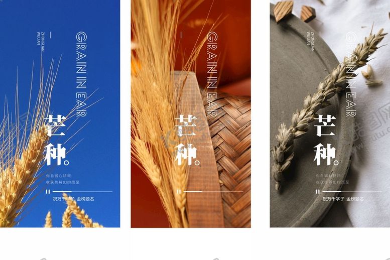 编号：15893710021006390167【酷图网】源文件下载-芒种